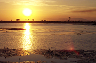 billabong on property